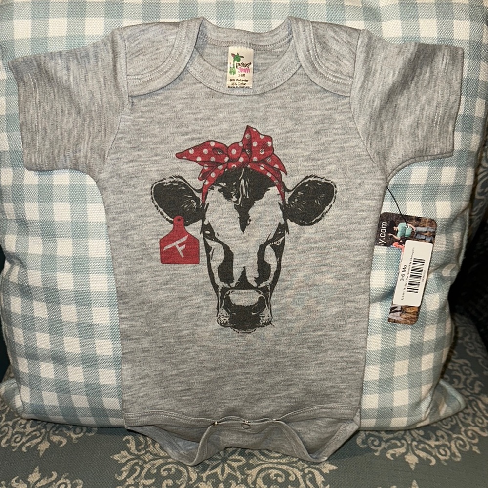 NWT- Grey little girls onsie 3-6 months